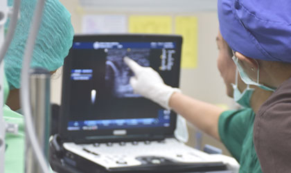 Profissional da saúde realizando avaliação pulmonar através do ultrassom e o ecocardiograma focado