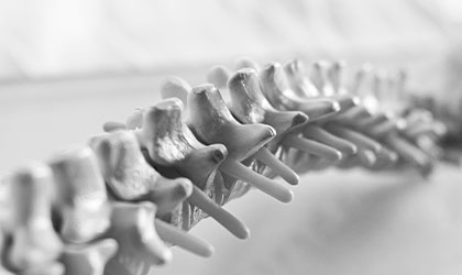 Ossos da coluna vertebral