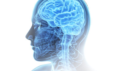 Diagnóstico neurorradiológico, analisando a anatomia do Sistema Nervoso Central