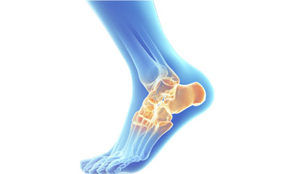 Representação do tornozelo e pé em um ser humano