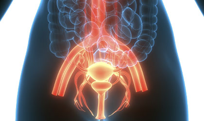 Radiografia do corpo humano com foco na área da pelve destacando o útero